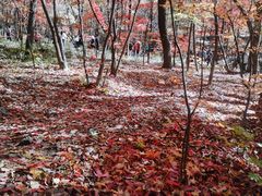 -关门山森林公园