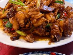 -生态苑农庄(十里画廊遇龙河店)