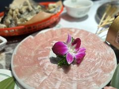 -禄婶鸡煲·打边炉