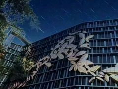 -Dr.Feeling 菲林酒吧(天津店)