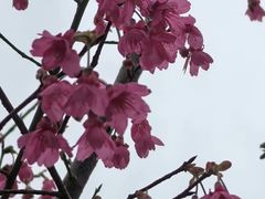 -牛岗山公园