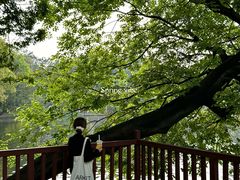 -荔湾湖公园