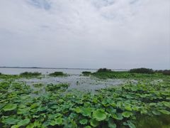-七的湖·晚芳亭·阳澄湖农家菜·大闸蟹(莲花岛店)