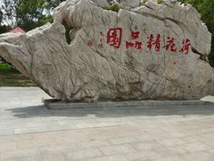 -微山湖红荷湿地景区