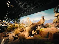 -陕西自然博物馆