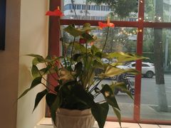 -蛙一刀·麻椒鱼火锅(金仙桥店)
