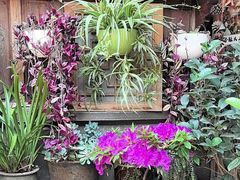 -龙姐私房菜(和顺古镇店)