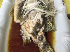 -胖大姐黄辣丁鱼庄(新津店)