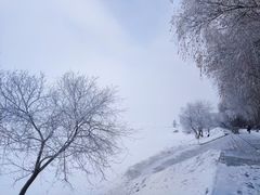 -滨州铁路桥