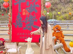 -龙岩森林水乡景区