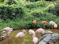 -昆明动物园