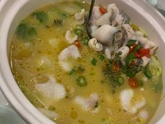 -蜀腾川·火锅鱼.烤鱼(新世界城店)
