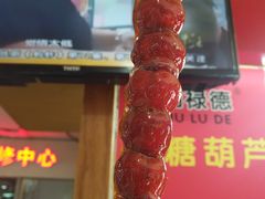 -和禄德冰糖葫芦