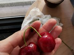 -菜园坝水果市场