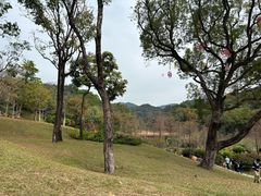 -云溪植物园