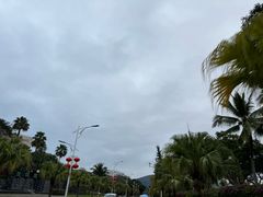 -亚龙湾国际玫瑰谷