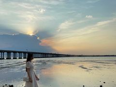 -宝安西湾红树林湿地公园