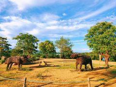 -北京西山国家森林公园