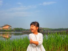 -溱湖国家湿地公园