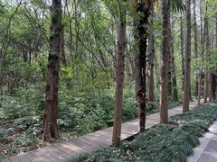 -同里国家湿地公园