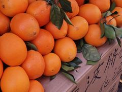 -南坛综合农贸市场