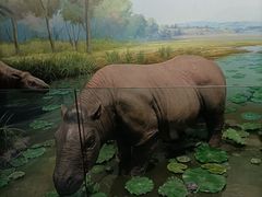-浙江自然博物院(杭州馆)