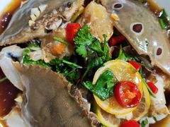 -海胆公主南澳岛美食海鲜