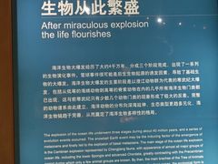 -天津自然博物馆
