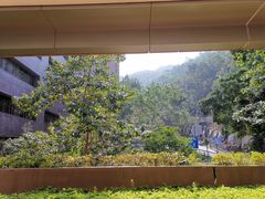 -香港大学