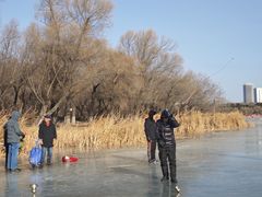 -长春市南湖公园