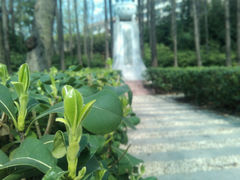 android_upload_pic-河海大学(江宁校区)