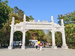 -羚羊峡古栈道森林公园