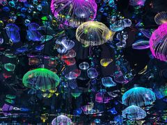 -天津梵高星空艺术馆(天河城旗舰店)