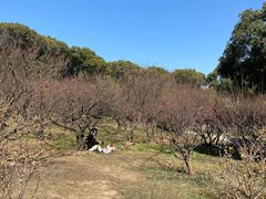 -无锡梅园公园