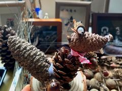 -南宁良凤江国家森林公园