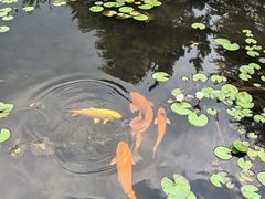 -白马涧龙池景区