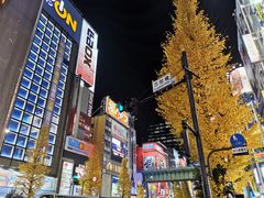 -秋叶原电器街