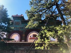 -香山公园