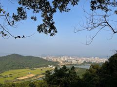 -风云岭森林公园