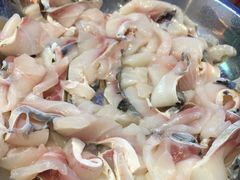 -鱼醉无骨鱼·中山脆肉鲩(荔湾路店)