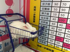 -成都失恋馆