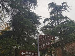 -南京十朝历史文化园-停车场