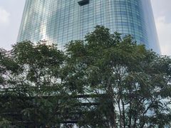 -丽思卡尔顿酒店泳池(金融街店)