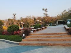 -森波拉奇妙世界