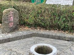 -上海佘山国家森林公园天马山园