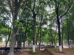 -千龙湖生态旅游度假区