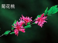 -中山公园