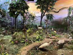 -陕西自然博物馆