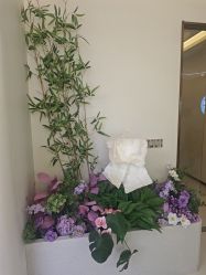 -头道汤头疗养生馆