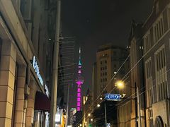 -杭州西湖柳莺里酒店